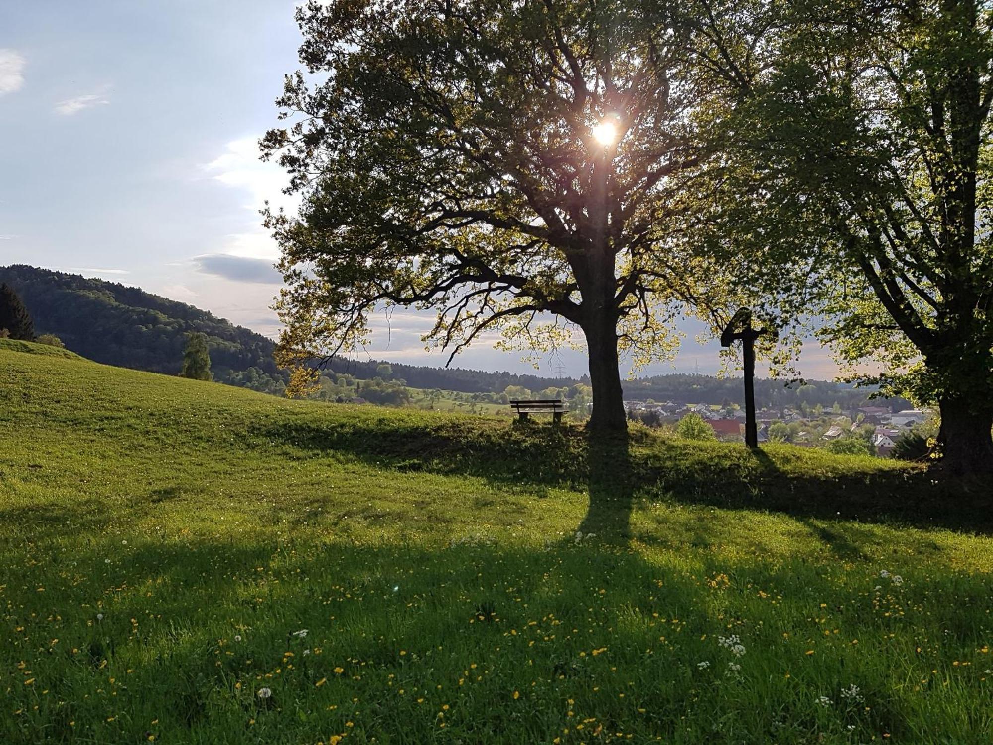Ferienhaus Rosswangen Balingen Bagian luar foto